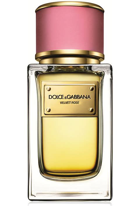 dolce and gabbana perfume buy online|dolce and gabbana female perfume.